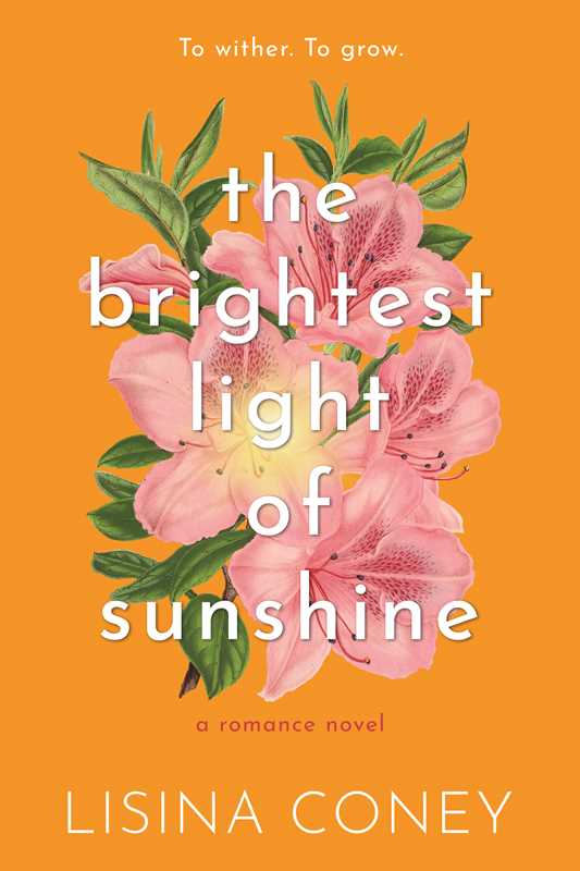 Brightest Light of Sunshine by Lisina Coney: Paperback; 432 pages / English