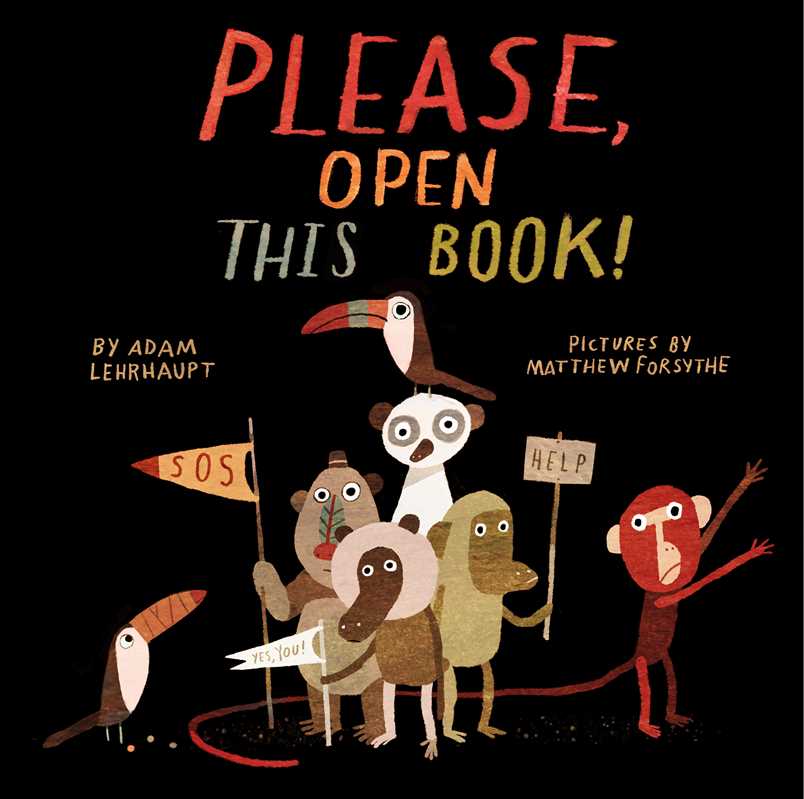 Please, Open This Book! by Adam Lehrhaupt: Hardcover; 40 pages / English